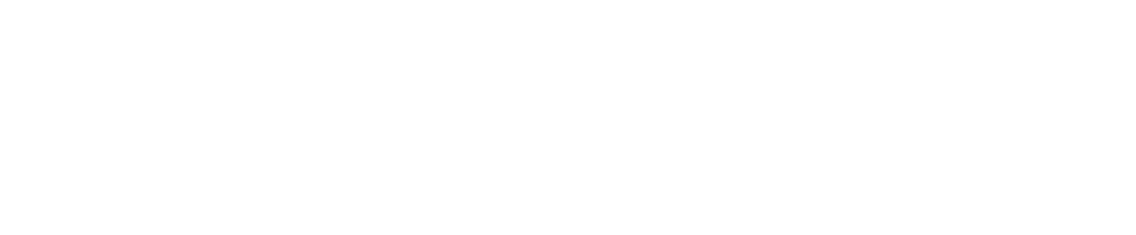 Primary Raster logo