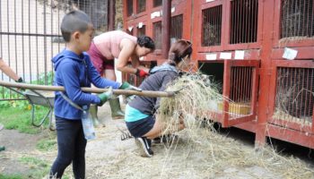 Na workcamp do Horažďovic i s rodinou