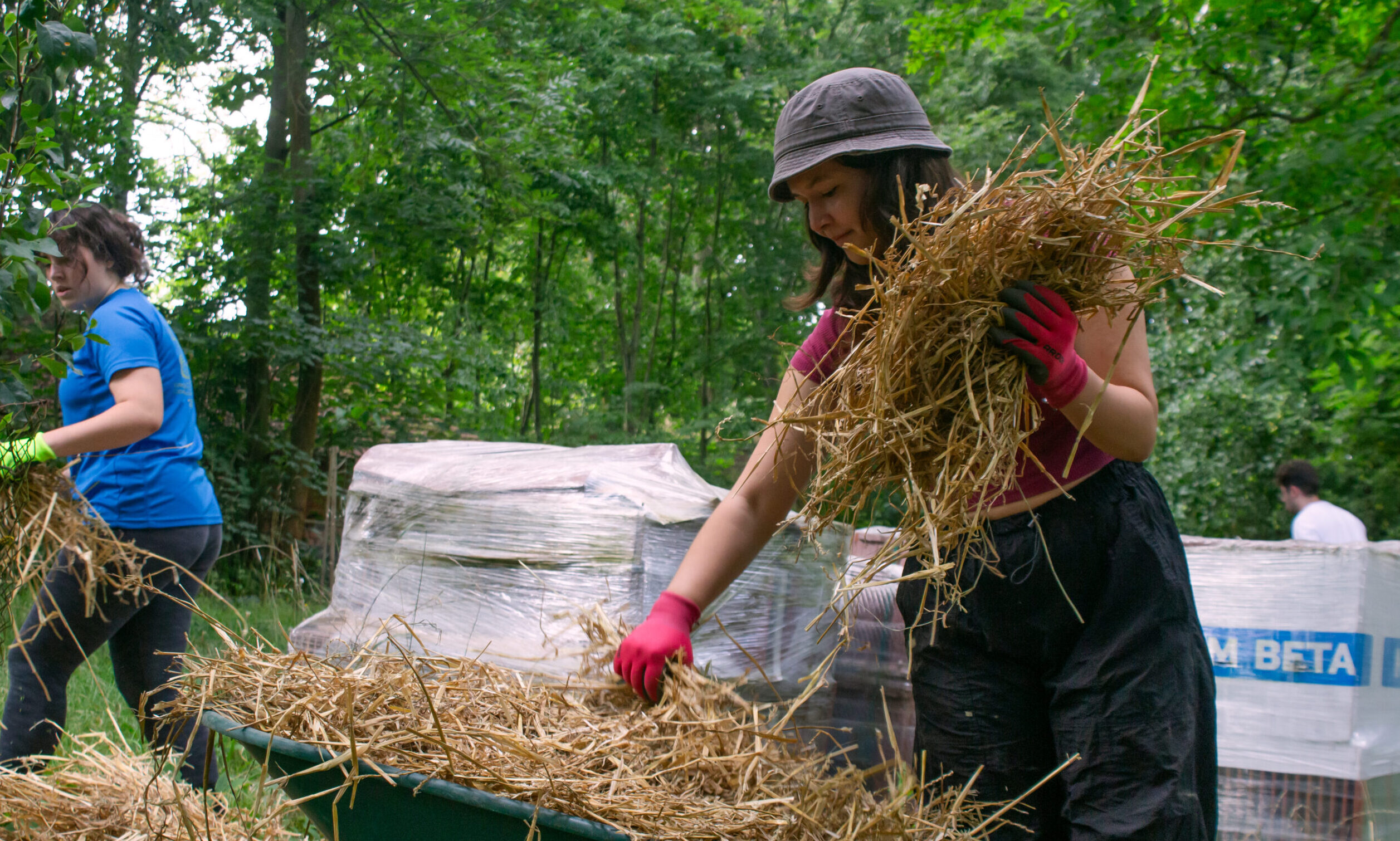 Permaculture in practice - Learn and Act