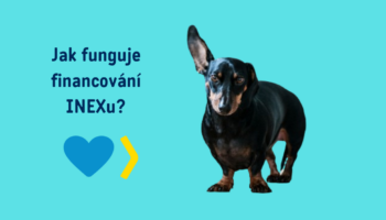 Jak je INEX financován a proč je důležitá podpora individuálních dárců?