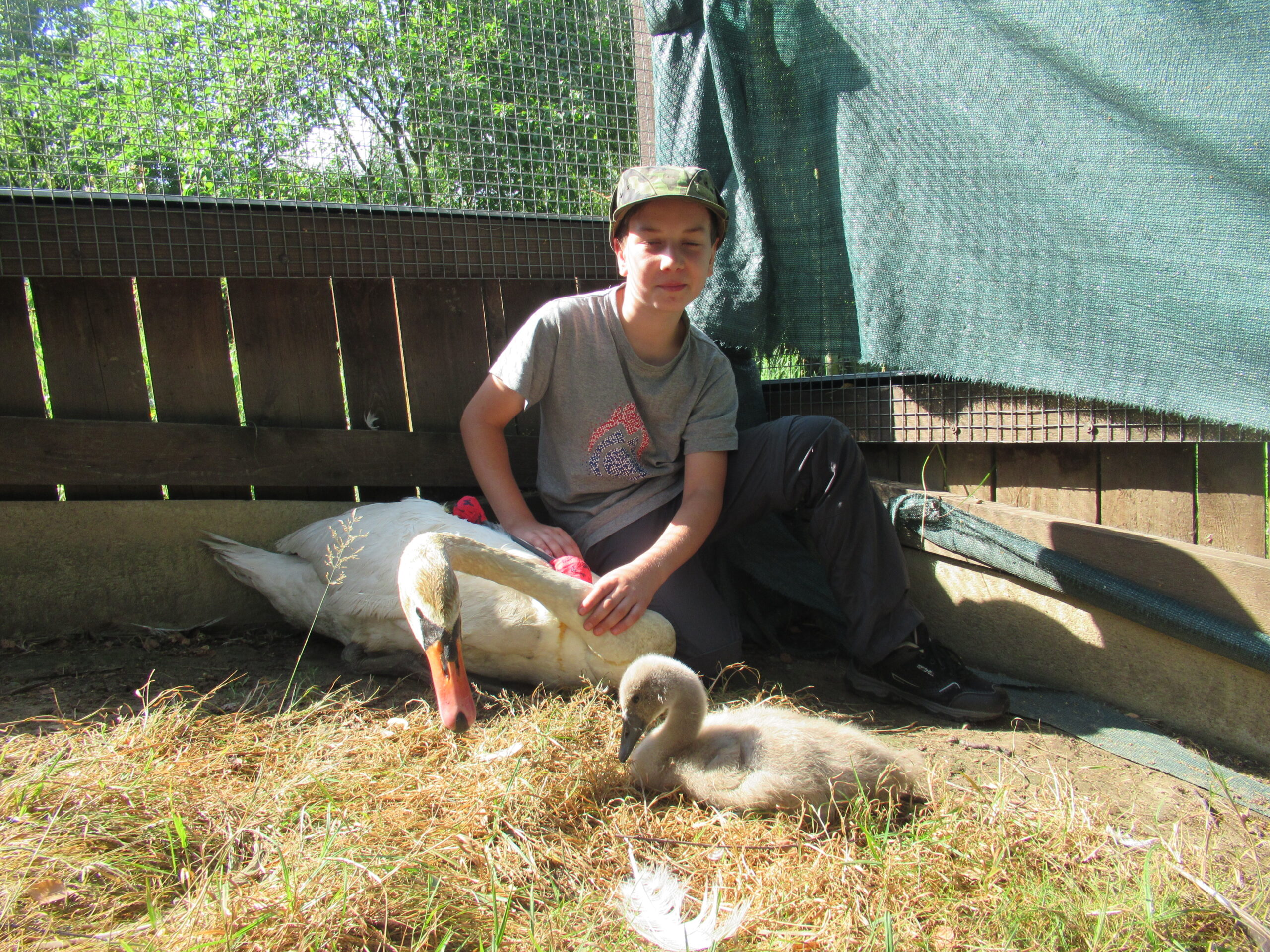 Guardians of Wildlife for FAMILY